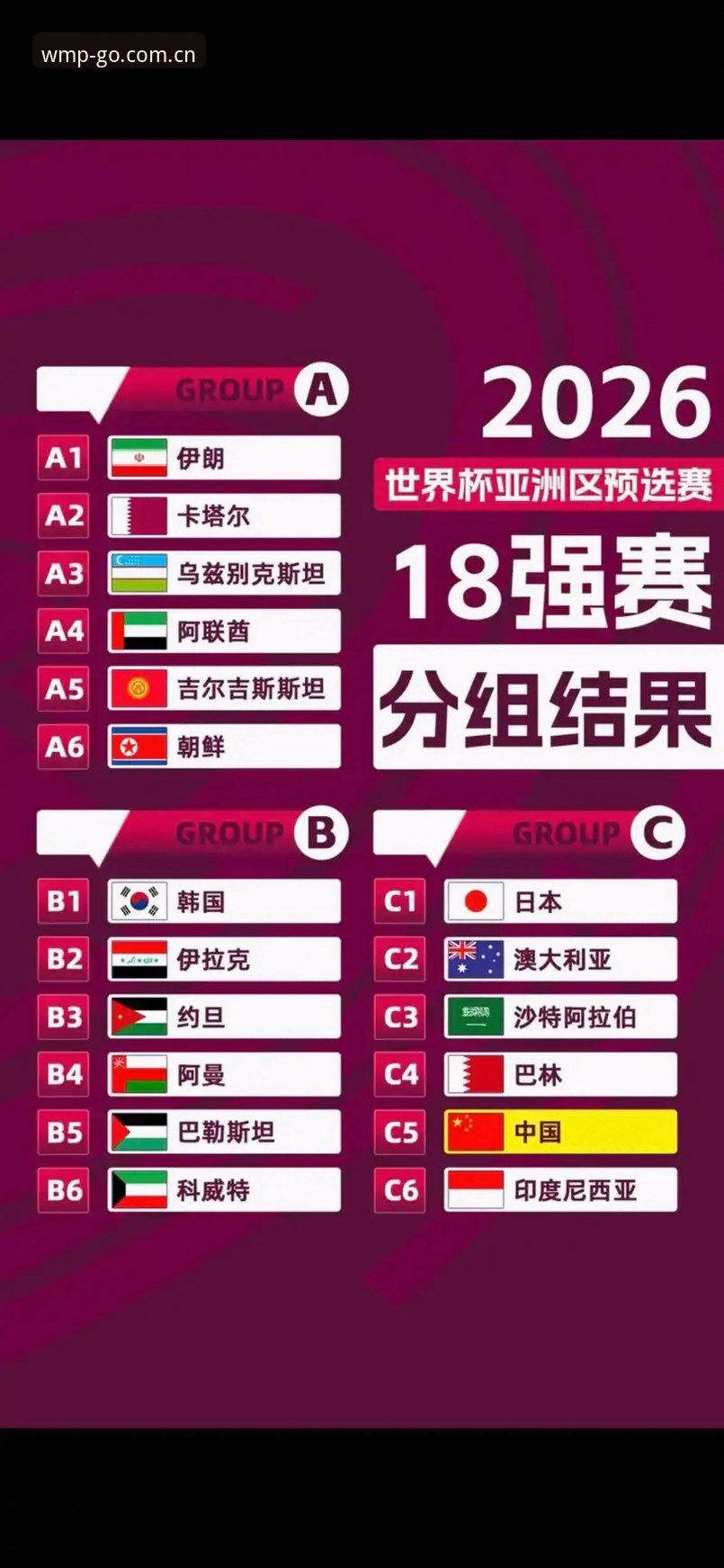 完美体育无法访问 U17世界杯抽签结果对比分析:中国男女足命运交织下的观赛新选择